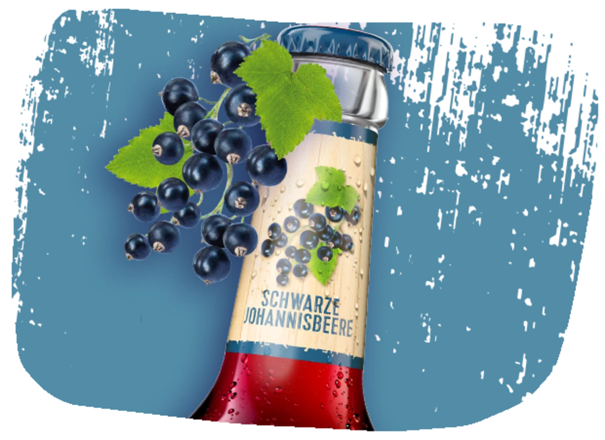 Schwarze Johannisbeere 0,3 L